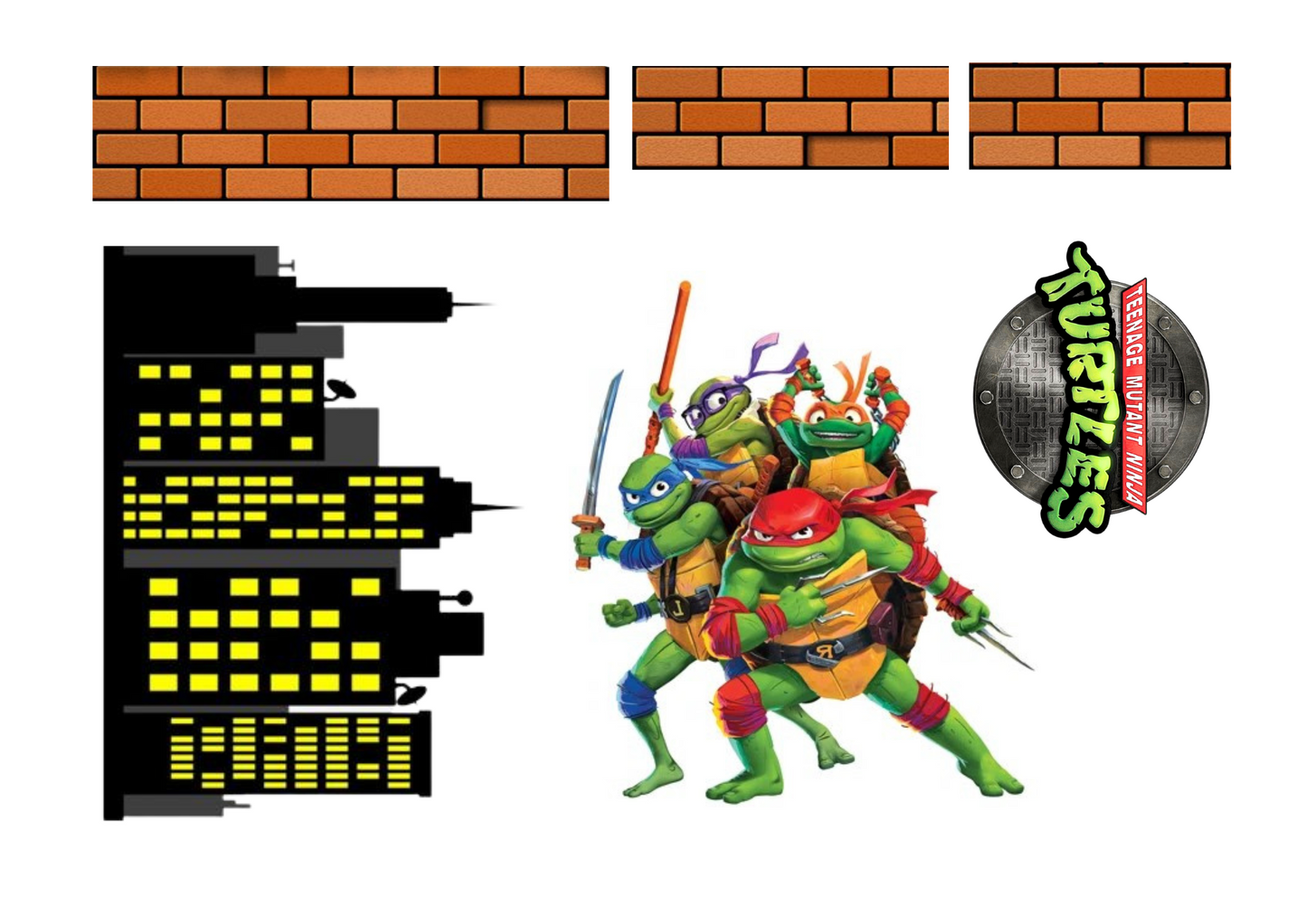 Ninja Turtles Inspired Decoration Set